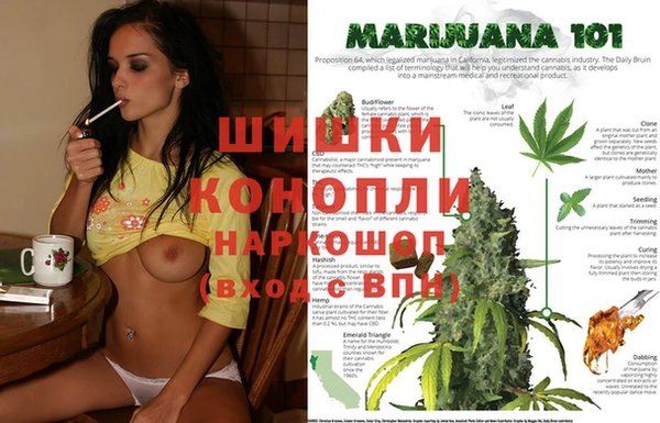 стаф Верея