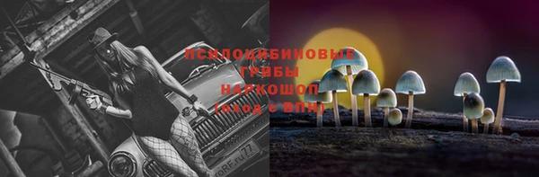 стаф Верея