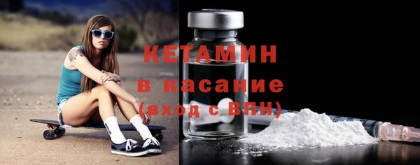 стаф Верея