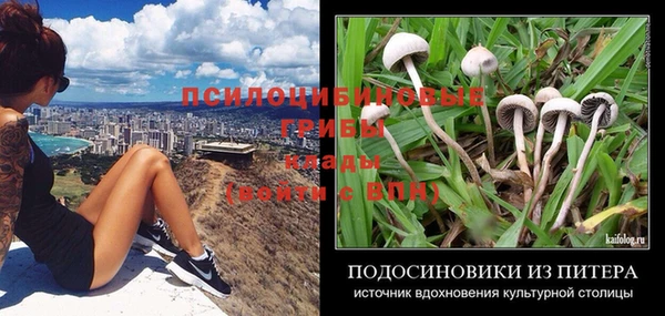 стаф Верея