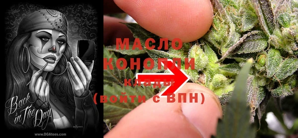 стаф Верея
