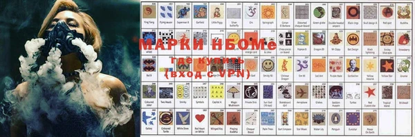 стаф Верея