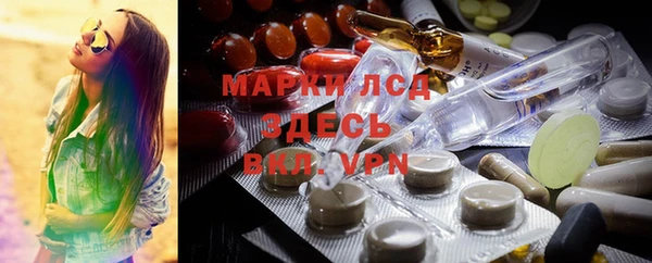 стаф Верея