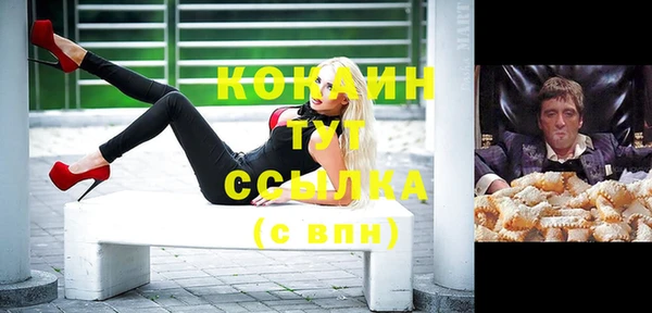 стаф Верея