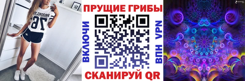 Псилоцибиновые грибы Psilocybe  KRAKEN зеркало  Выборг 