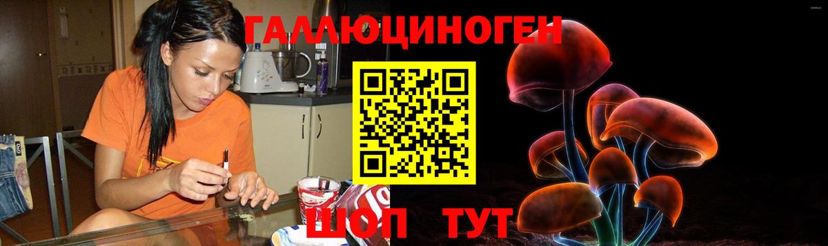 Галлюциногенные грибы мухоморы  Вход с VPN  Выборг 