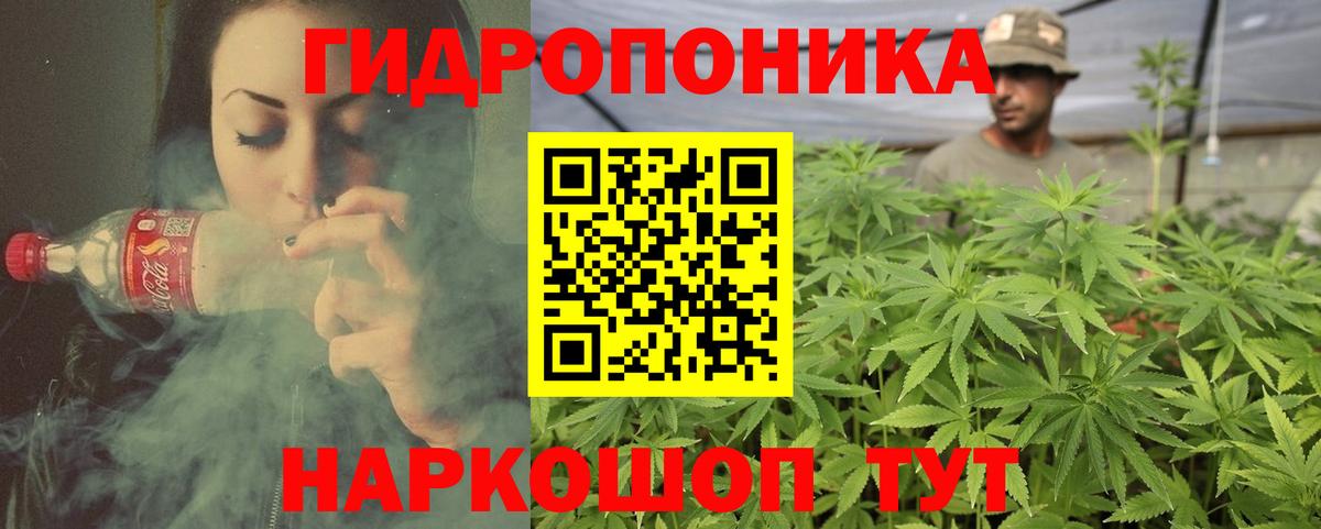 Канабис Amnesia  Вход с VPN  МАРИХУАНА VHQ  Выборг  Канабис планчик 